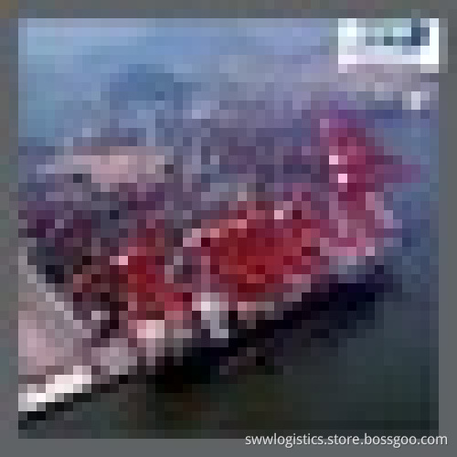 cheap FCL/LCL sea freight rates from china to Hull